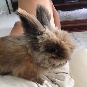 Meet your Posher, Heedo